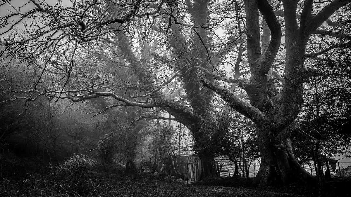 Illustration zu Auslandskrankenversicherung Schweiz