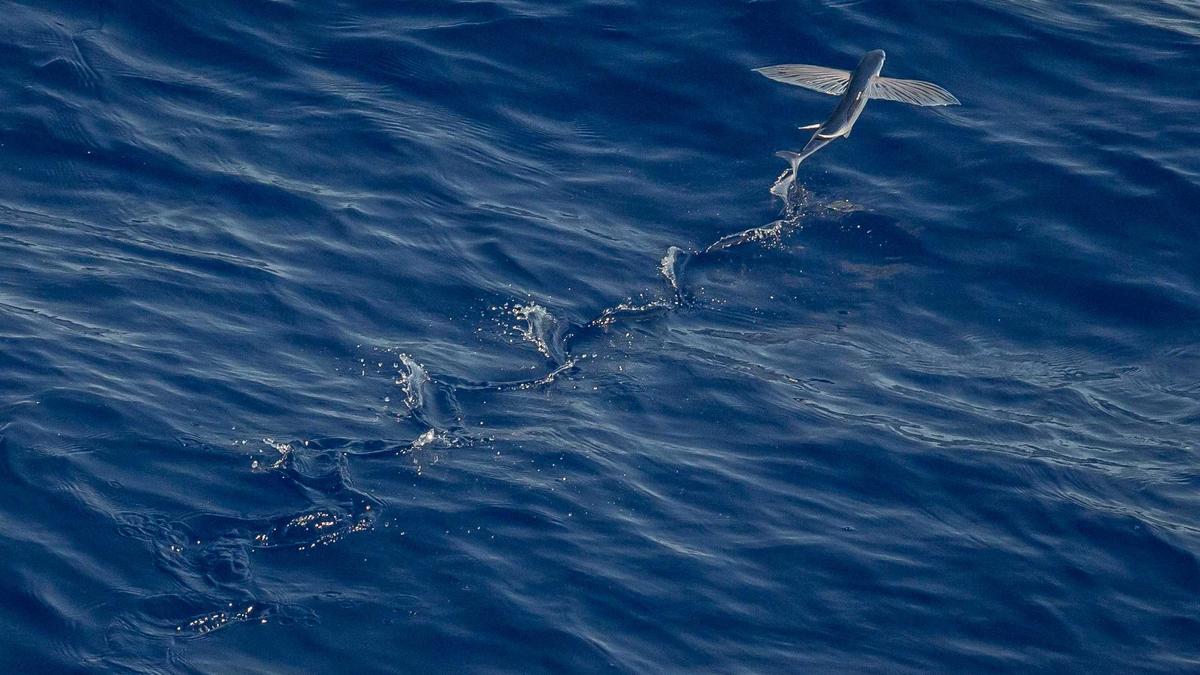 Symbolbild zum Thema Grenzgänger Bewilligung G