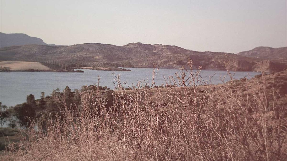 Illustration zu Grenzgänger Krankenversicherung