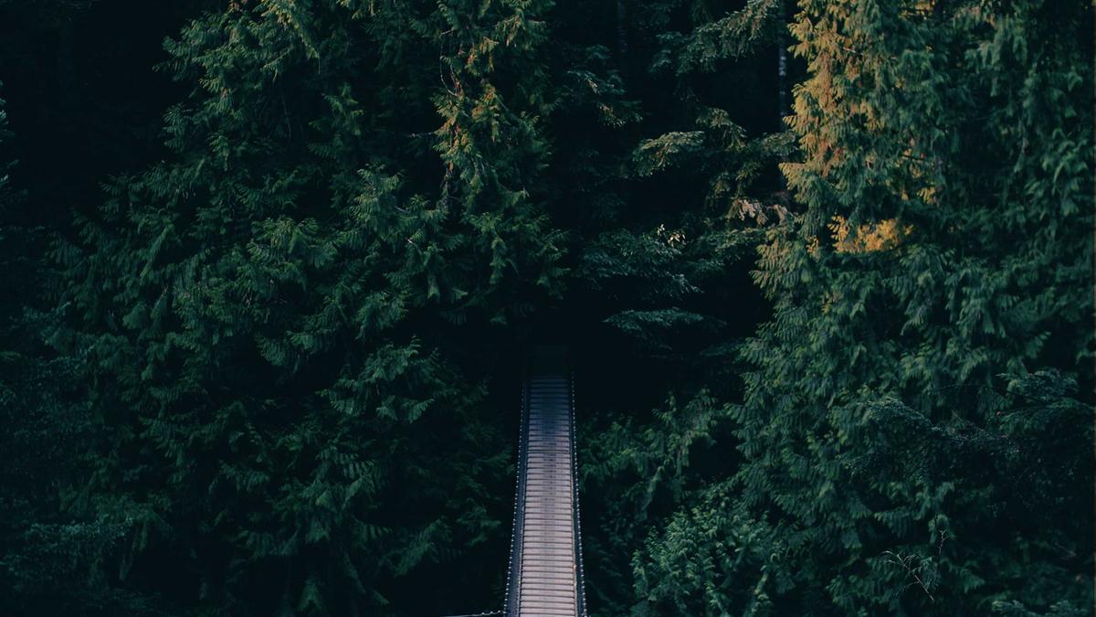 Illustration zu Grenzgänger Krankenversicherung