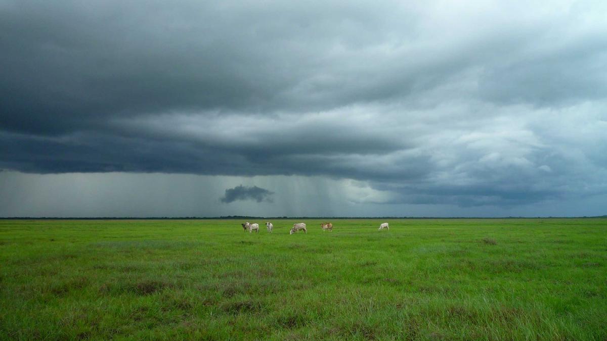 Symbolbild zum Thema Grenzgänger Krankenversicherung