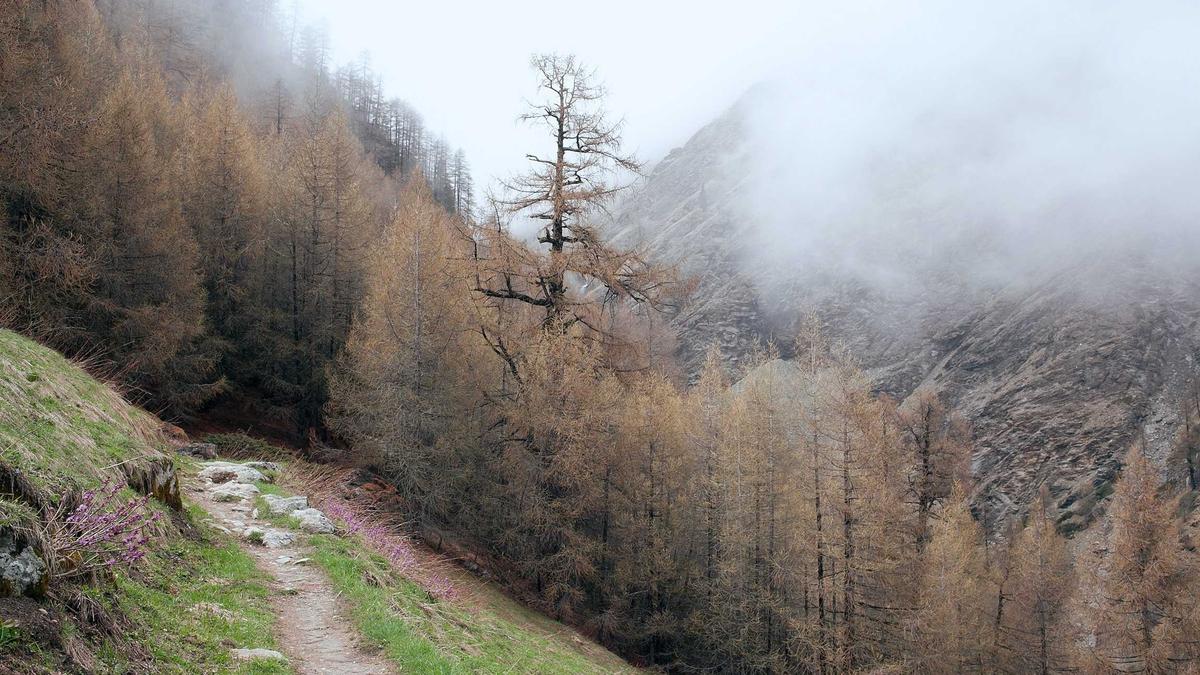 Symbolbild zum Thema Grenzgänger Krankenversicherung
