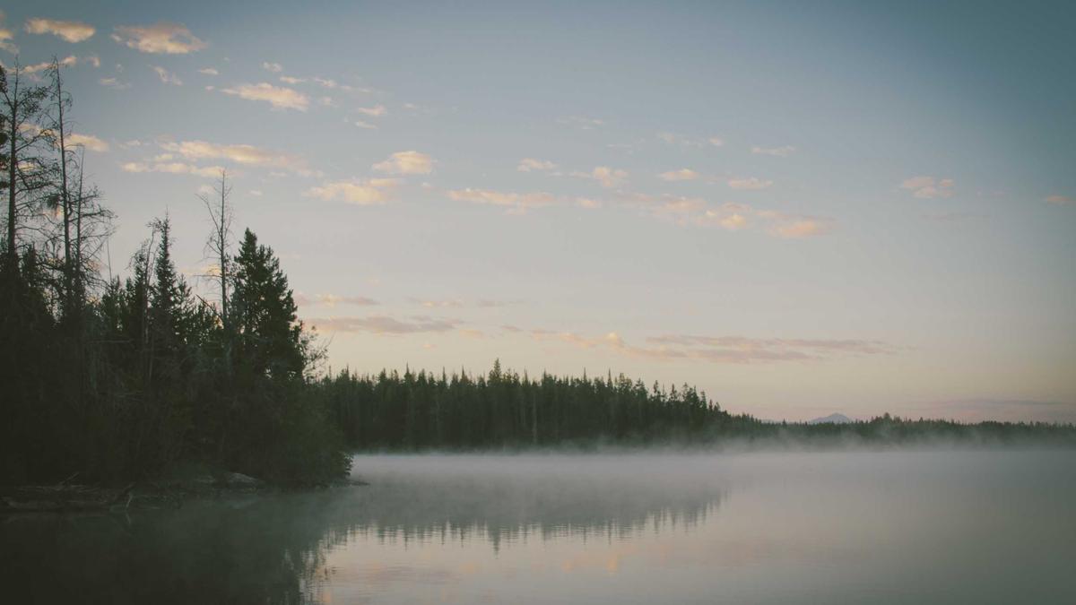 Grenzgänger Krankenversicherung österreich Symbolbild zum Thema Grenzgänger Krankenversicherung österreich
