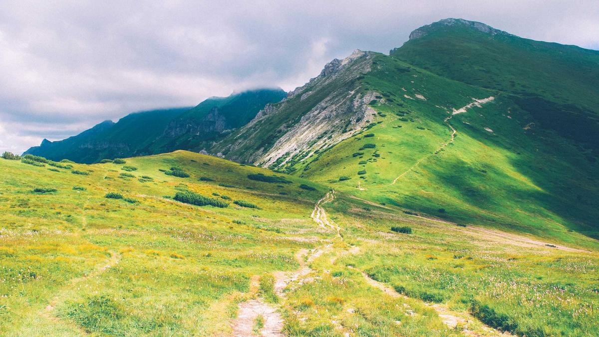 Günstigste Krankenkasse Detailansicht: Günstigste Krankenkasse