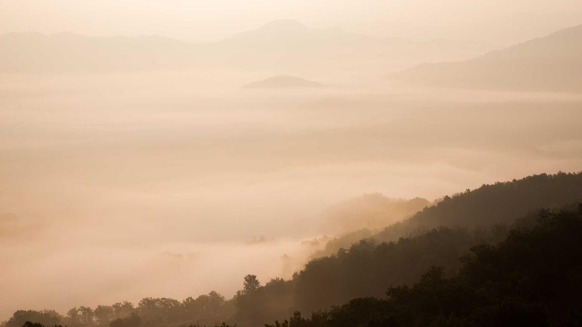 Kinderwunsch Zusatzversicherung Illustration zu Kinderwunsch Zusatzversicherung