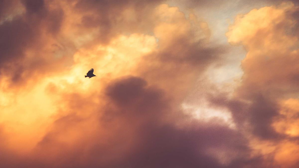 Detailansicht: Krankenkasse Franchise 2500