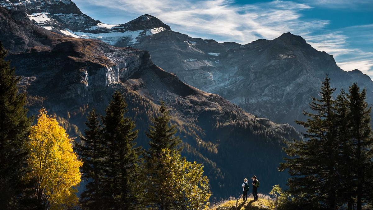 Krankenkasse Selbstständige Illustration zu Krankenkasse Selbstständige