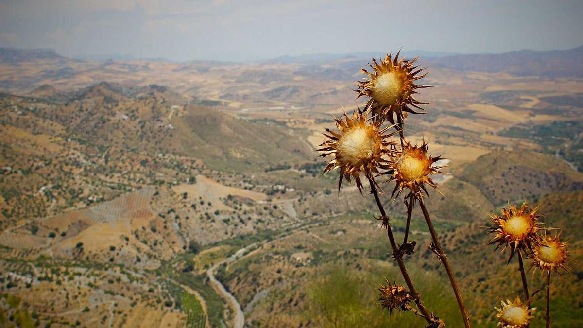 Symbolbild zum Thema Krankenkasse Vergleich Waadt