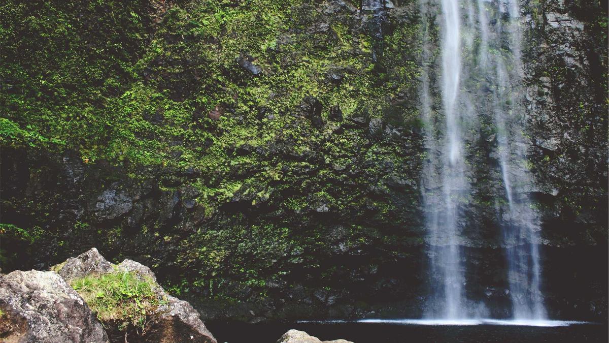 Symbolbild zum Thema Krankenkasse Wechseln