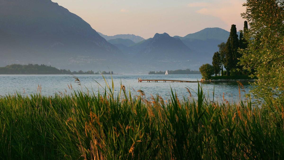 Detailansicht: Krankenkasse Wechseln