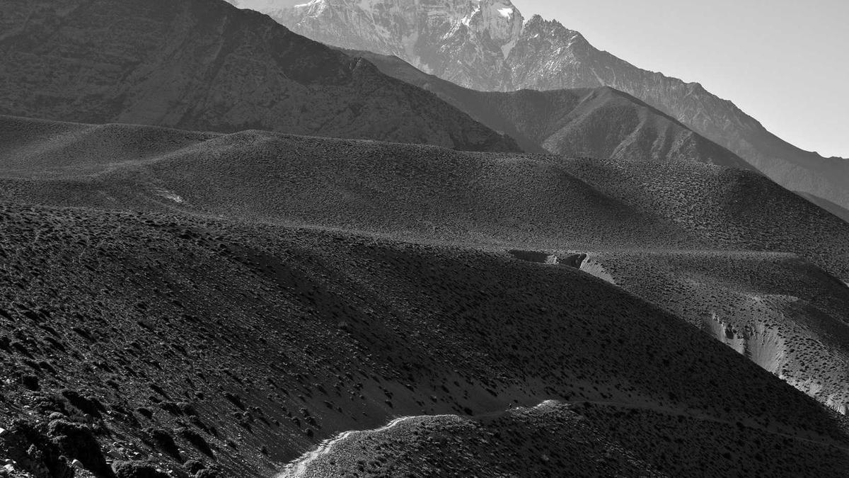 Detailansicht: Krankenkassen Vergleich