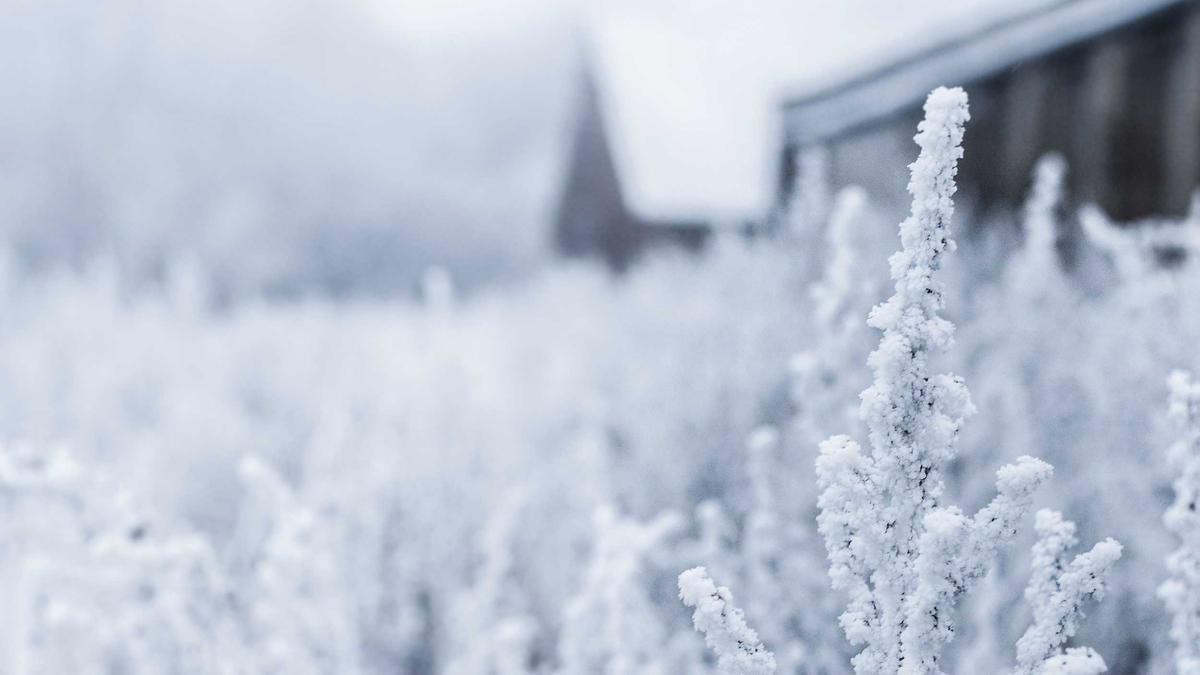 Detailansicht: Krankenkassen Vergleich