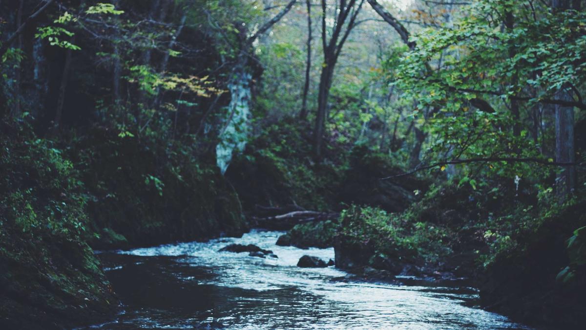 Krankenkassenprämien 2026 Illustration zu Krankenkassenprämien 2026