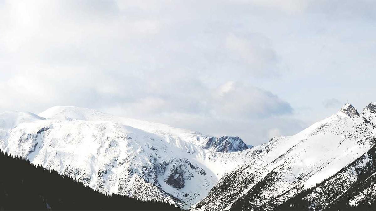 Krankenkassenprämien Genf Detailansicht: Krankenkassenprämien Genf