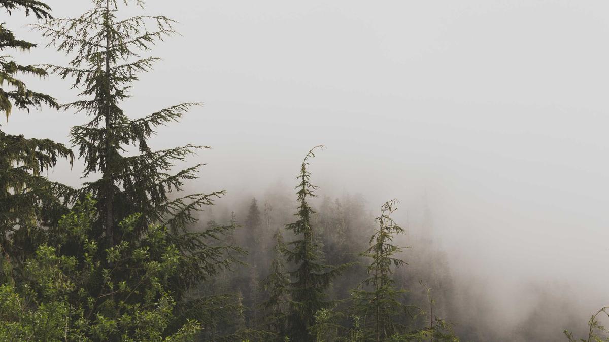 Illustration zu Krankenkassenprämien Senken