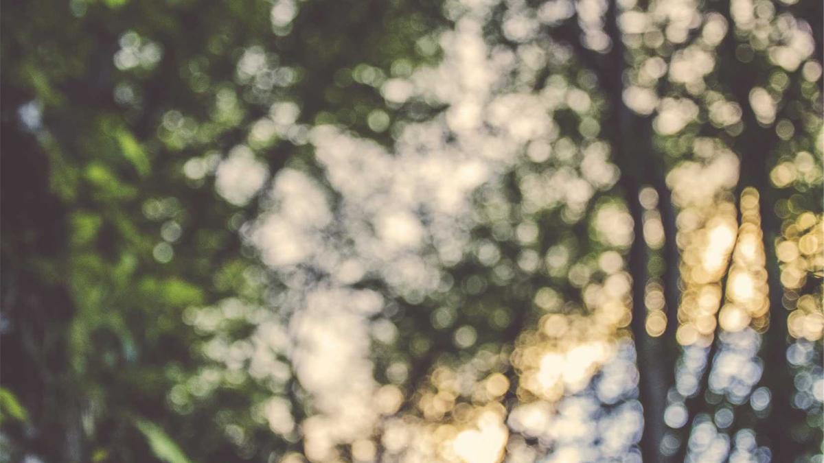 Detailansicht: Krankenkassenprämien Vergleich