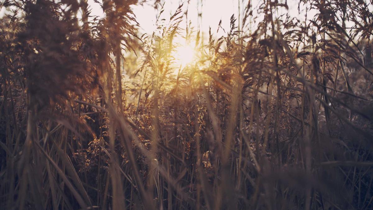 Symbolbild zum Thema Krankenkassenvergleich Grenzgänger