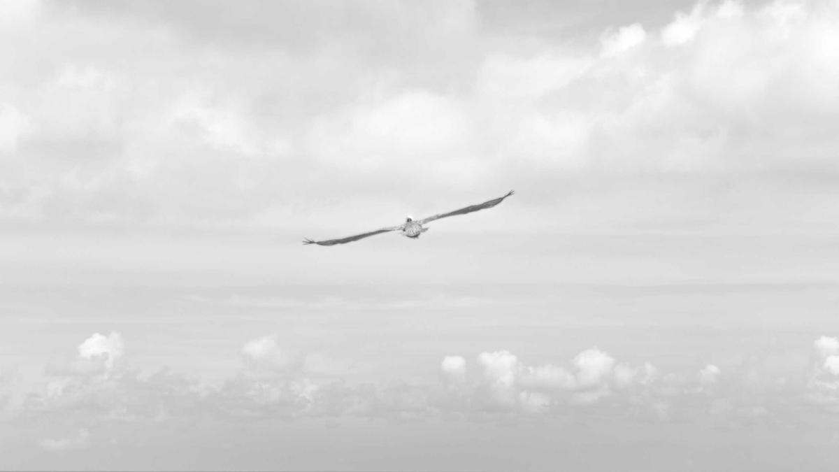 Detailansicht: Krankenkassenvergleich Rentner