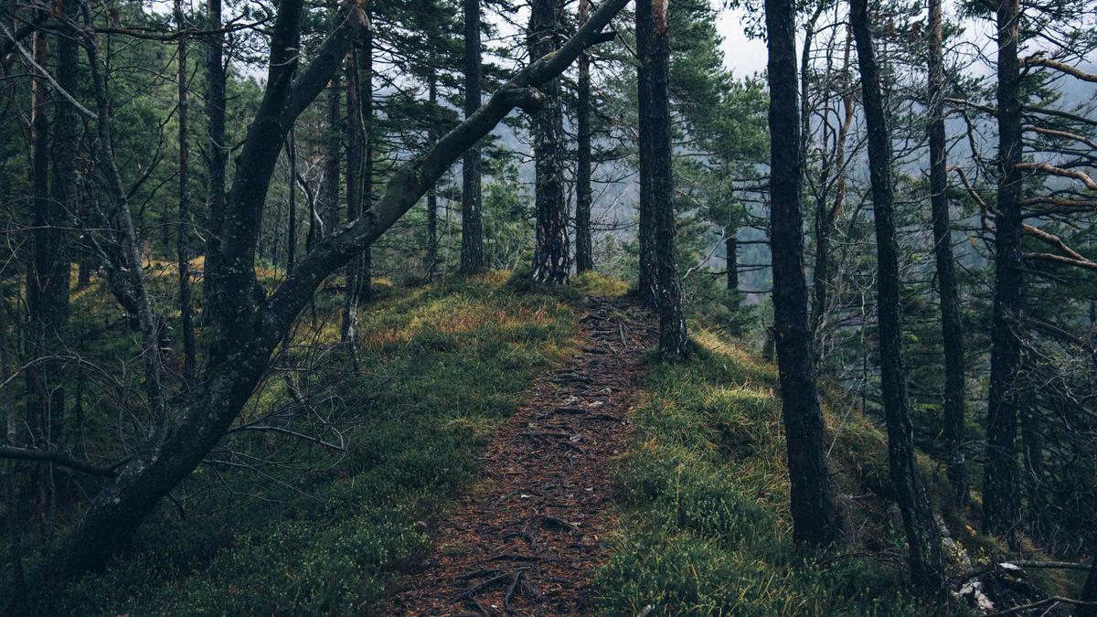 Symbolbild zum Thema Krankenversicherung Vergleich Grenzgänger