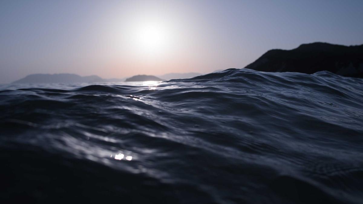 Detailansicht: S1 Bescheinigung Grenzgänger