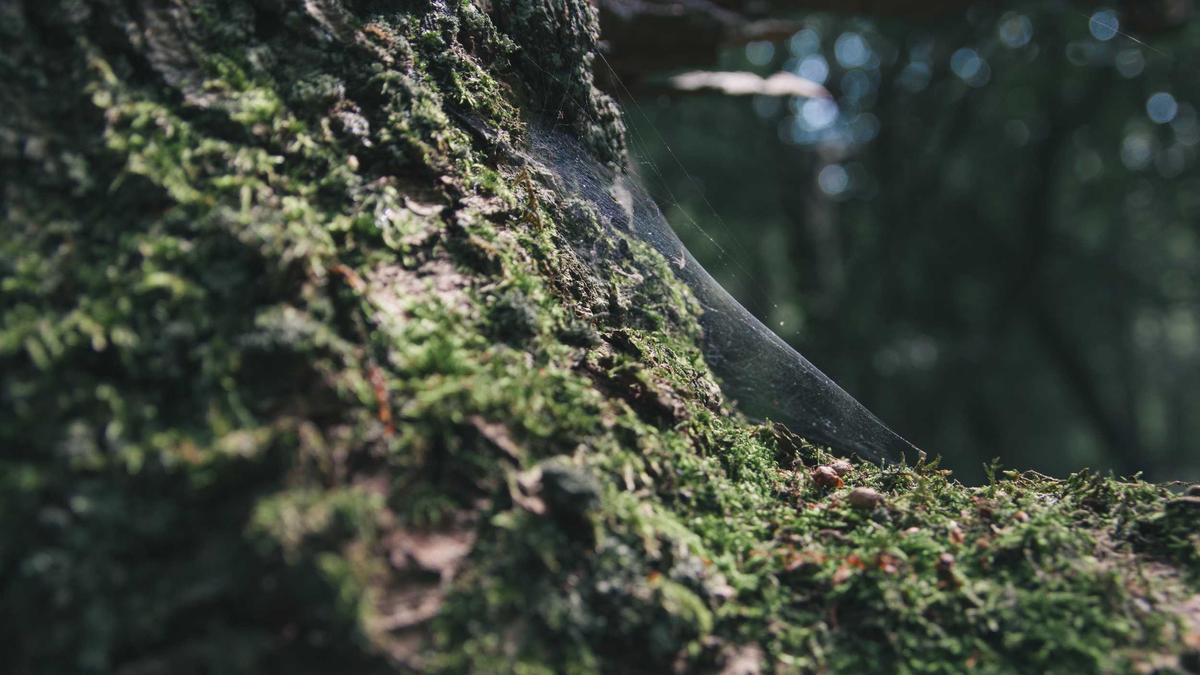 Spitalzusatzversicherung Schweiz Detailansicht: Spitalzusatzversicherung Schweiz