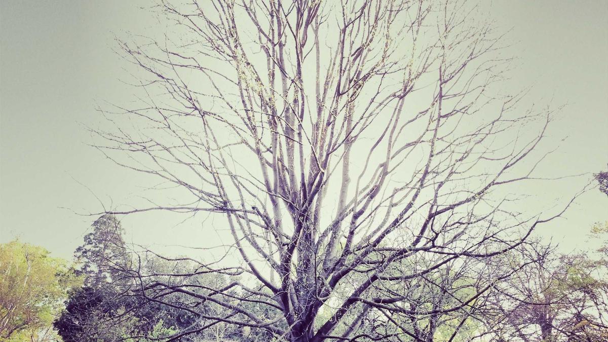 Detailansicht: Zusatzversicherung Baby