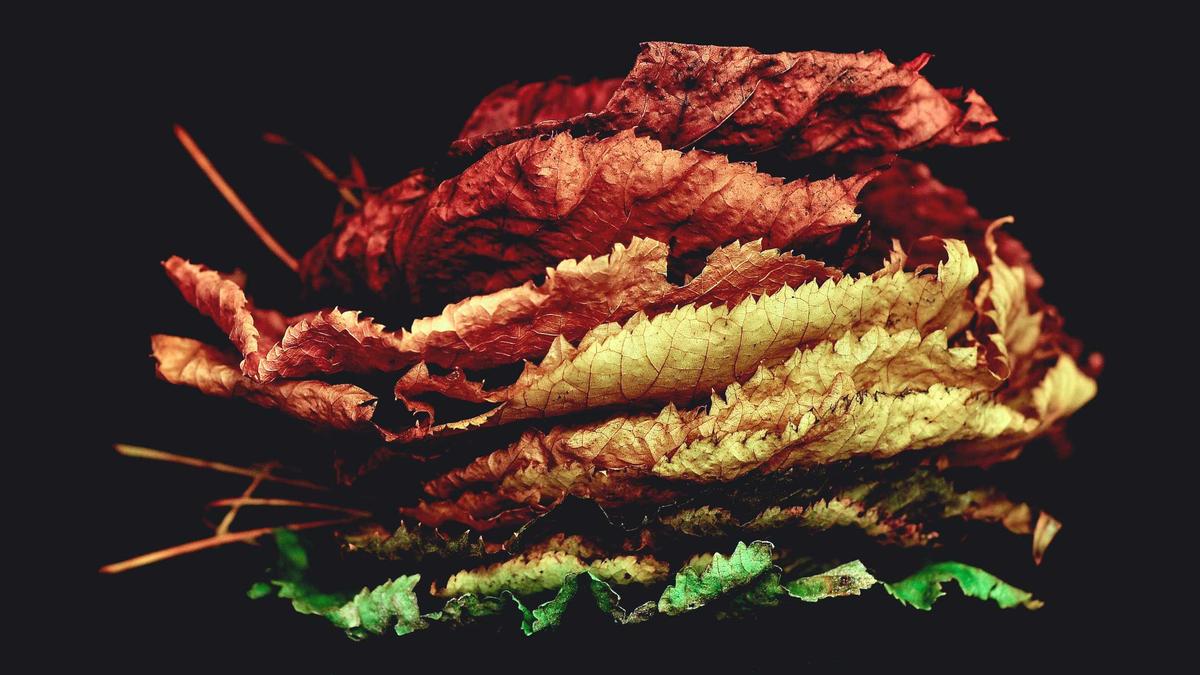 Zusatzversicherung Schwangerschaft Detailansicht: Zusatzversicherung Schwangerschaft