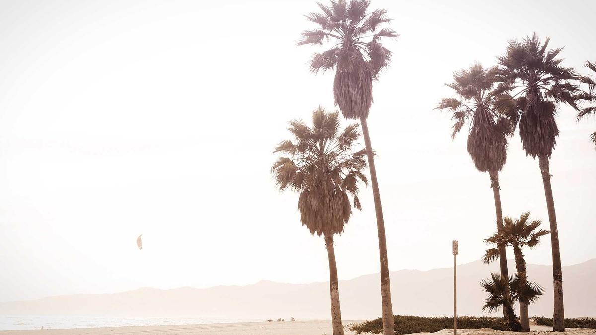 Symbolbild zum Thema Adipositas Infektionsrisiko