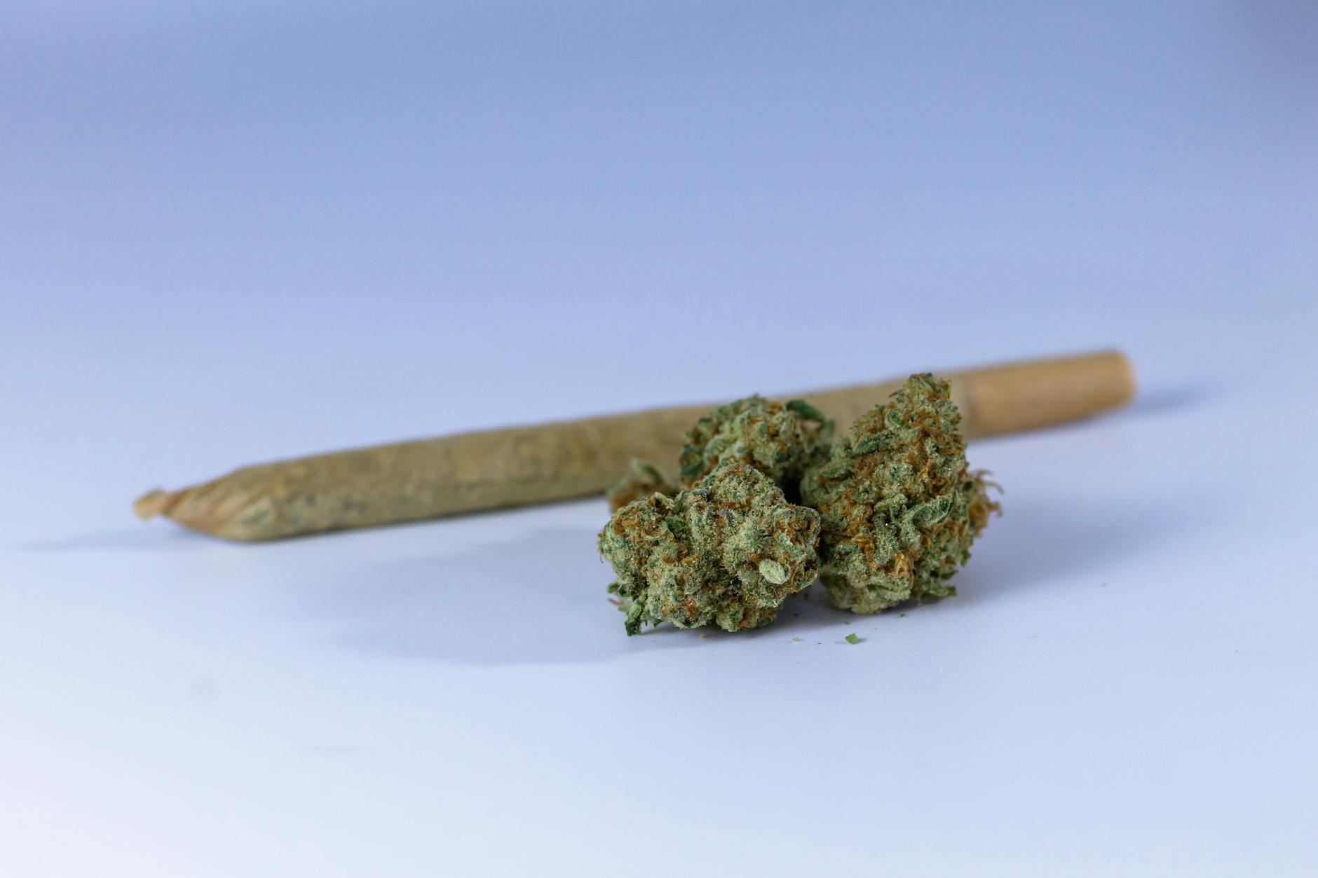Detailansicht: Cannabis Psychose Risiko