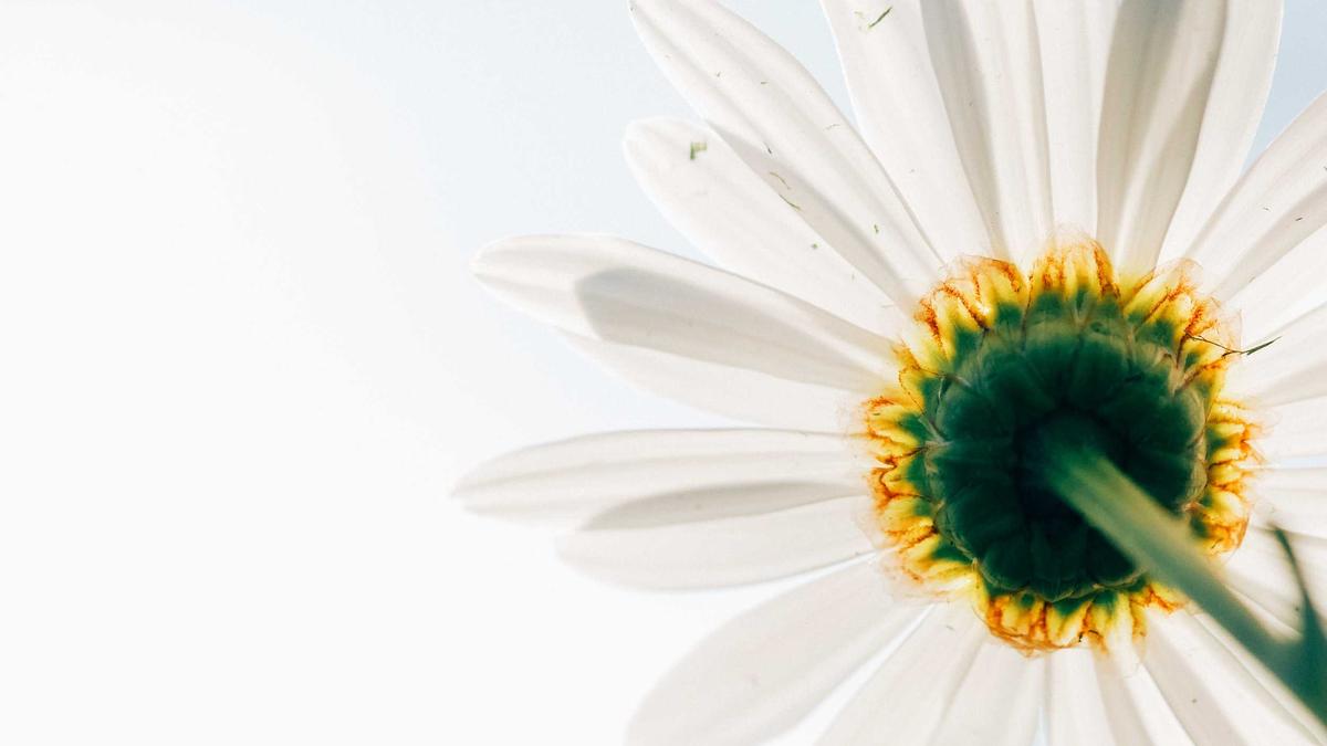 Illustration zu ChatGPT Gesundheitsberatung