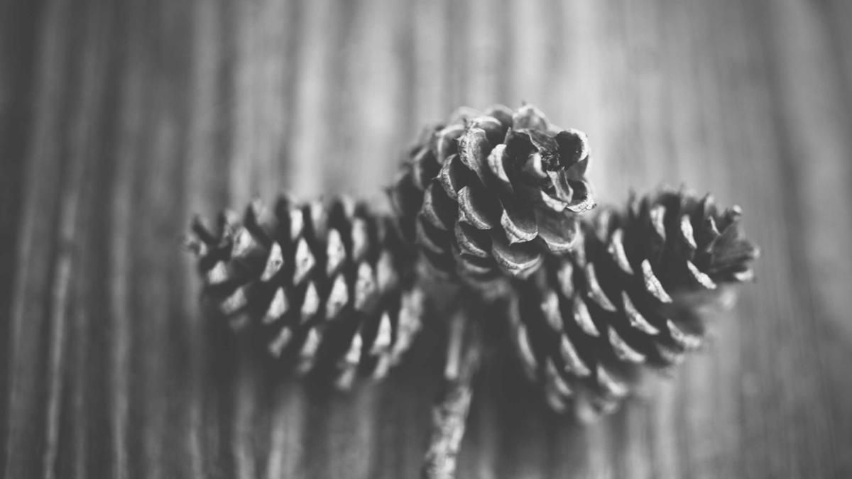 Symbolbild zum Thema ChatGPT Gesundheitsberatung