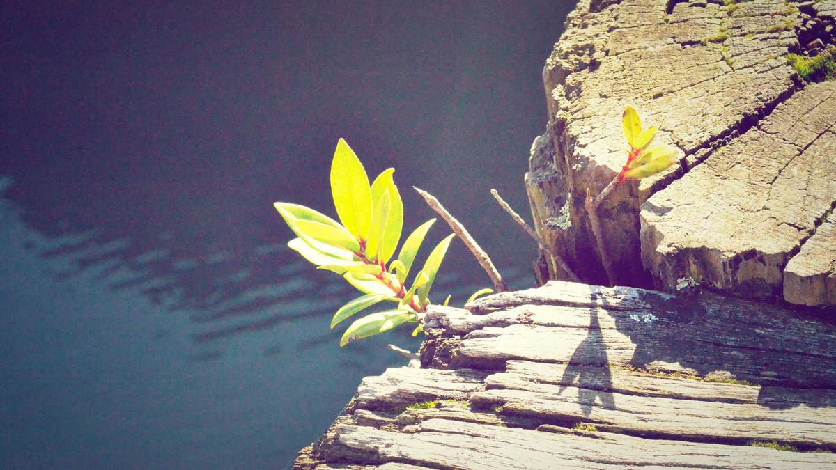 Illustration zu Easy Sana Krankenkasse