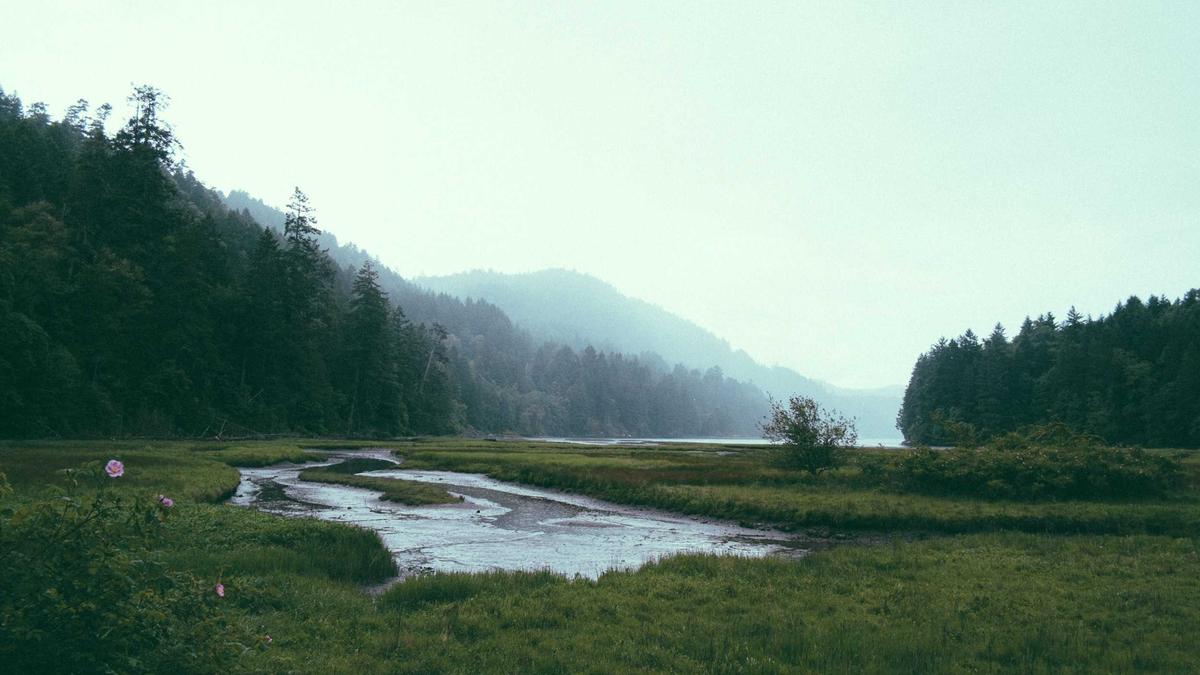 Egk Krankenkasse Symbolbild zum Thema Egk Krankenkasse
