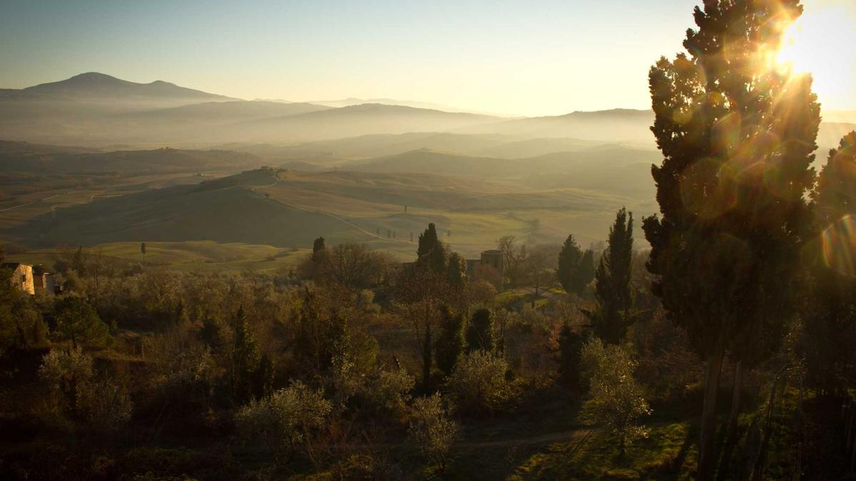 Detailansicht: Franchise Senken