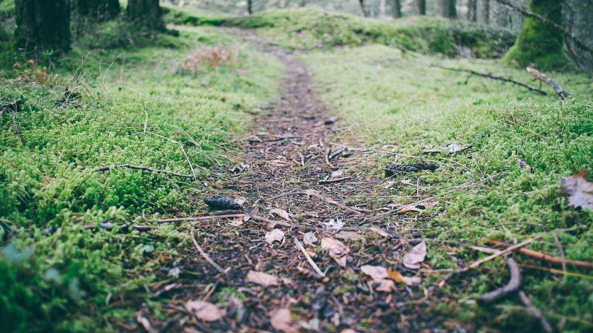 Illustration zu Gehirnalterung Kohlenhydrate