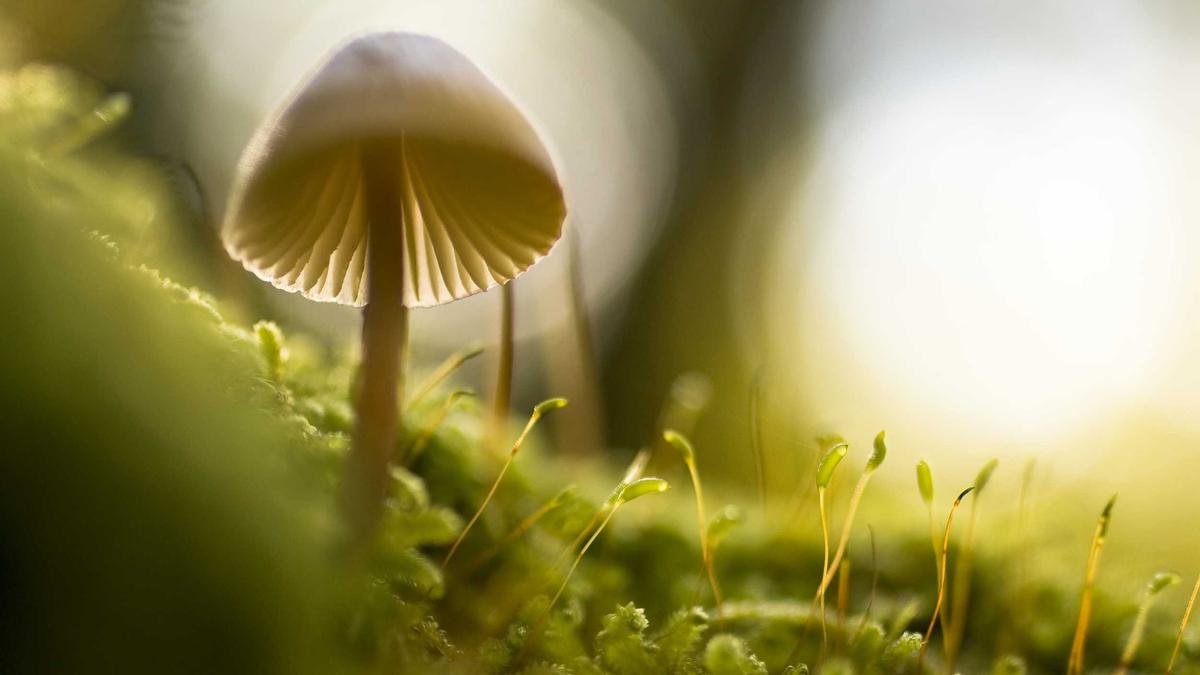 Symbolbild zum Thema Grenzgänger Krankenversicherung