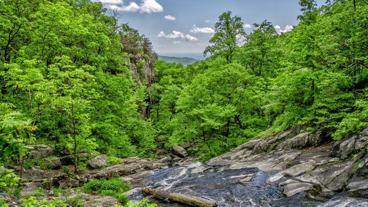 Detailansicht: Grenzgänger Rente Krankenversicherung