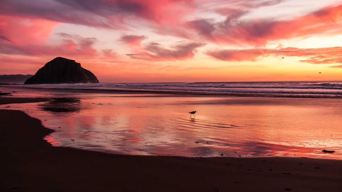 Grenzgänger Zürich Illustration zu Grenzgänger Zürich