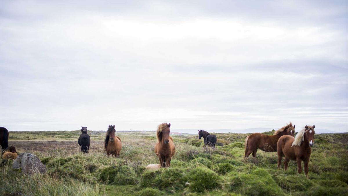 Grundversicherung Wechseln Detailansicht: Grundversicherung Wechseln
