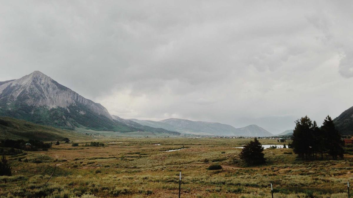 Detailansicht: Körperbildstörung