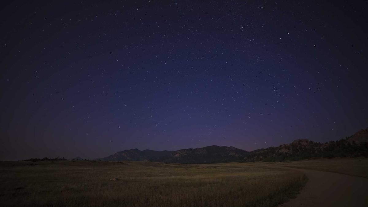 Symbolbild zum Thema Kollagen Knochendichte