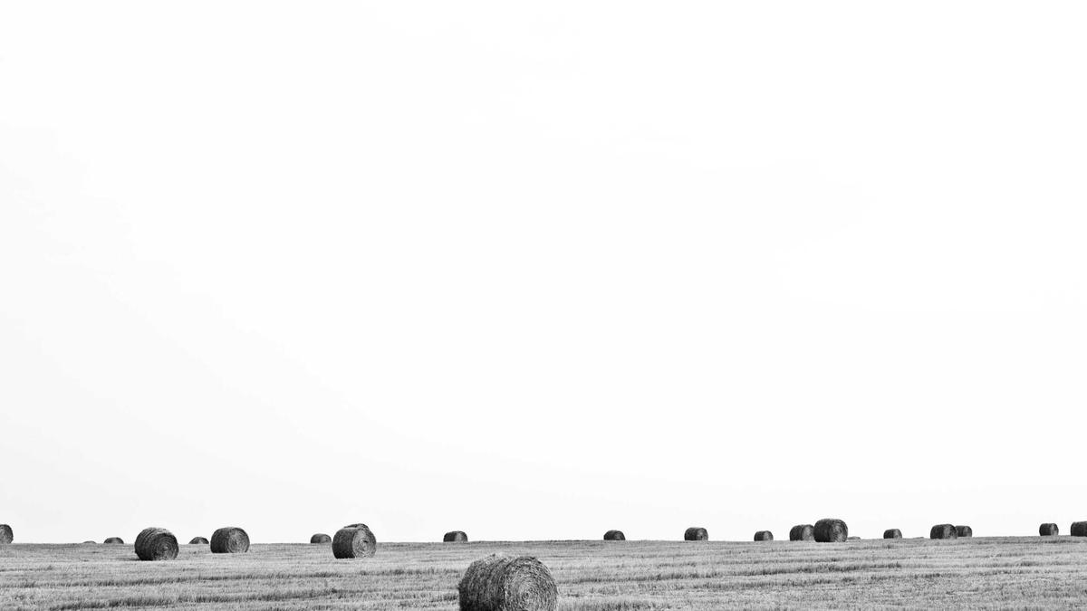 Konservierungsstoffe Krebs