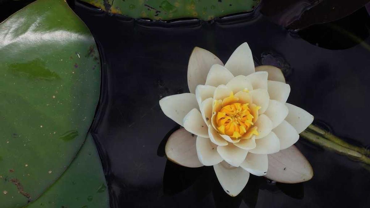 Symbolbild zum Thema Krankenkasse Kündigung Widerrufen