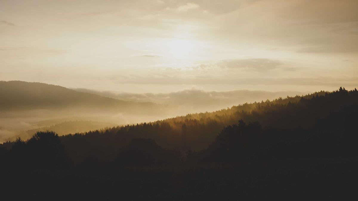 Illustration zu Krankenkasse Wechsel Statistik