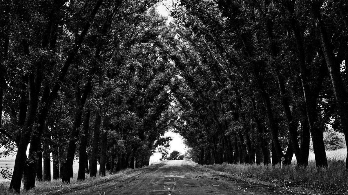 Illustration zu Krankenkasse Wechseln Franchise Behalten