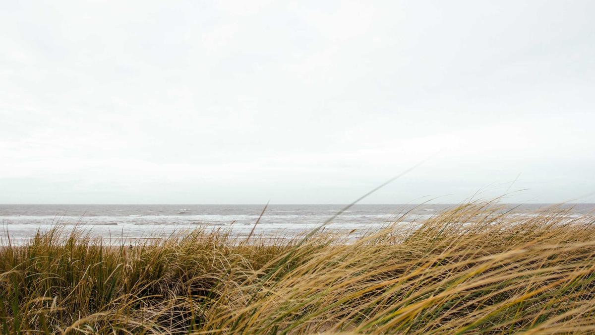 Detailansicht: Krankenkasse Wechseln Franchise Behalten