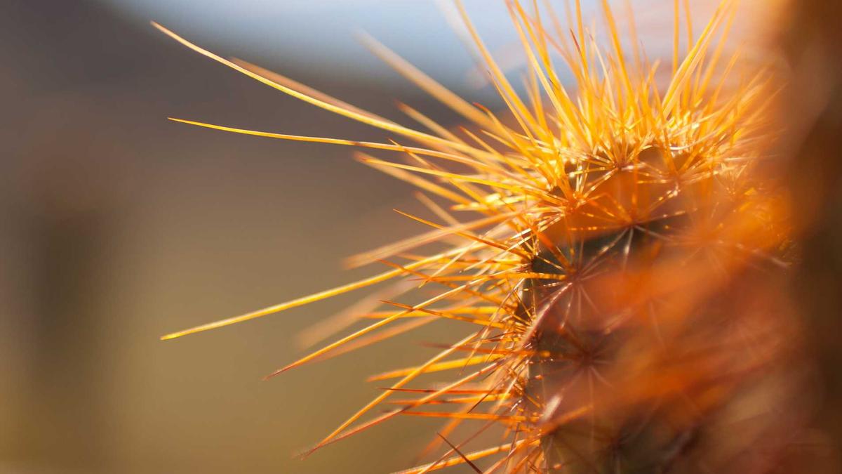 Illustration zu Krankenkasse Wechseln Juli