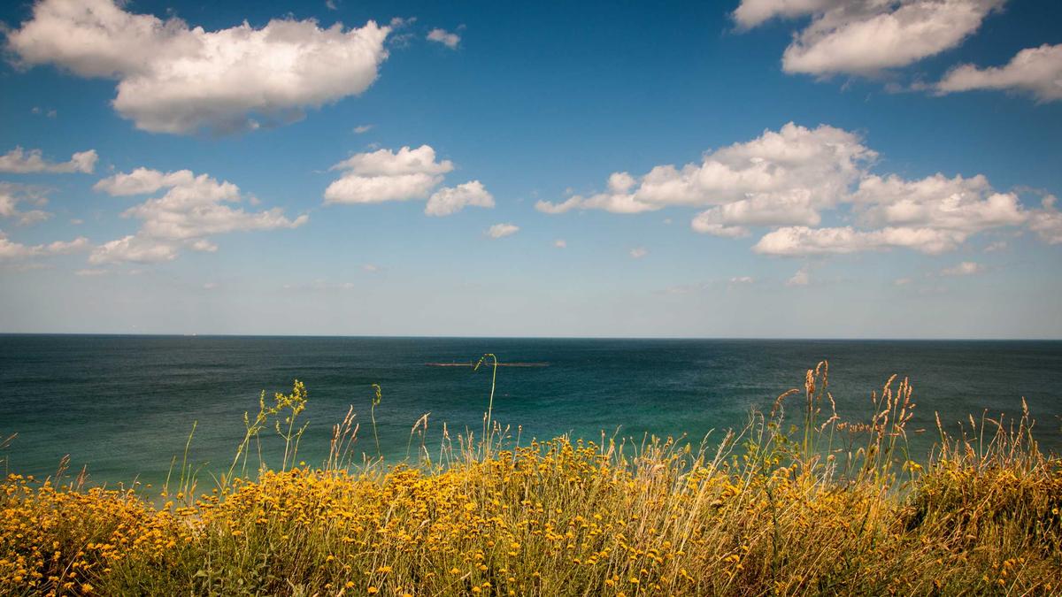 Detailansicht: Krankenkasse Wechseln