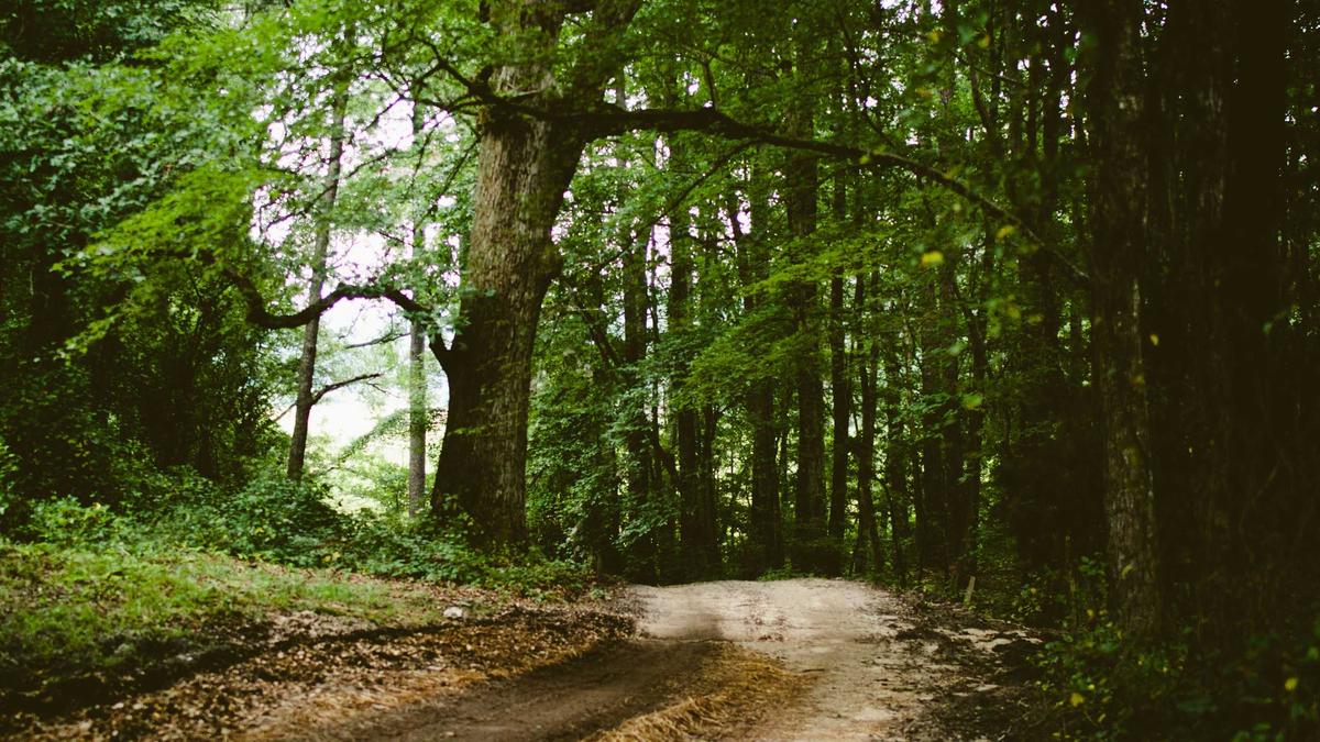 Symbolbild zum Thema Krankenkasse Wechseln Schwangerschaft