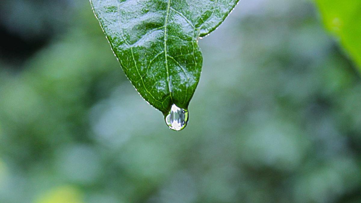 Krebsprävention Schweiz